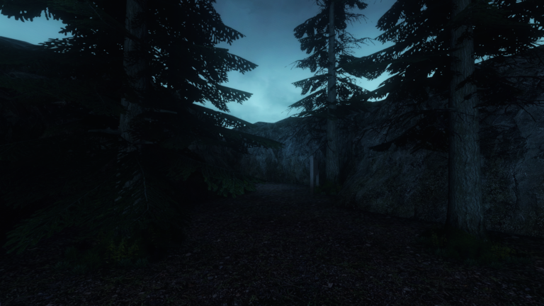 Forest Trail