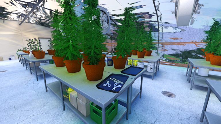 Grow House - Work Area