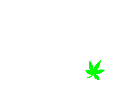 Four Twenty in Progress